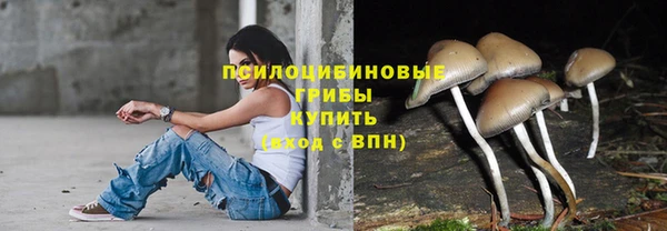 прущие грибы Покачи