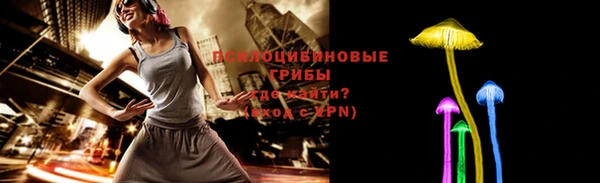 прущие грибы Покачи