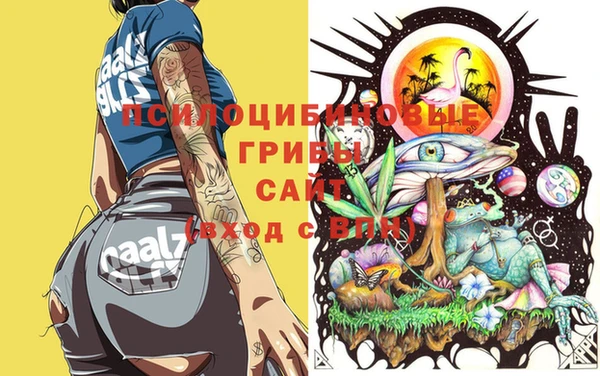 прущие грибы Покачи